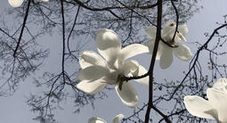 @y1mew β’ 04:16 AM