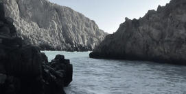 @y1mew β’ 16:30 PM